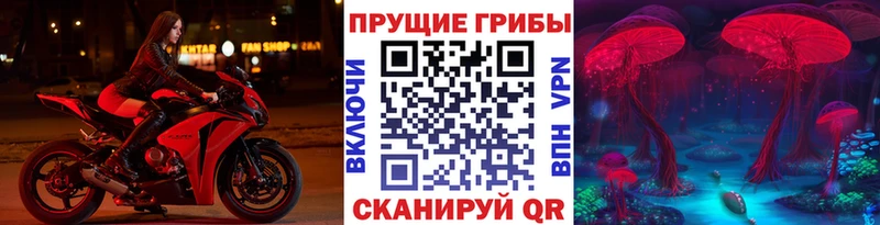 Псилоцибиновые грибы GOLDEN TEACHER Ногинск