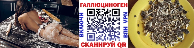 Псилоцибиновые грибы Cubensis  Ногинск 